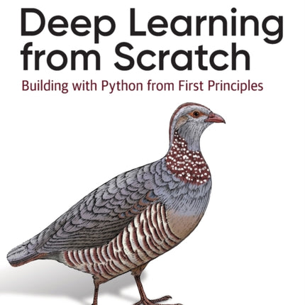 Deep Learning from Scratch: Building with Python from First Principles