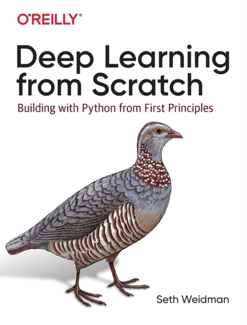 Deep Learning from Scratch: Building with Python from First Principles