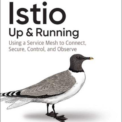 Istio: Up and Running: Using a Service Mesh to Connect, Secure, Control, and Observe