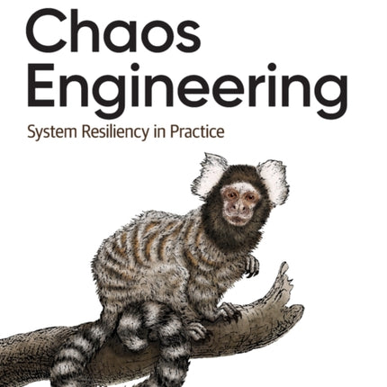 Chaos Engineering: System Resiliency in Practice