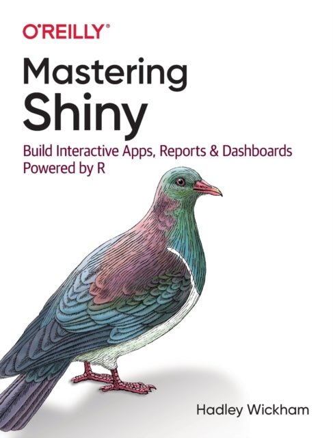 Mastering Shiny: Build Interactive Apps, Reports, and Dashboards Powered by R