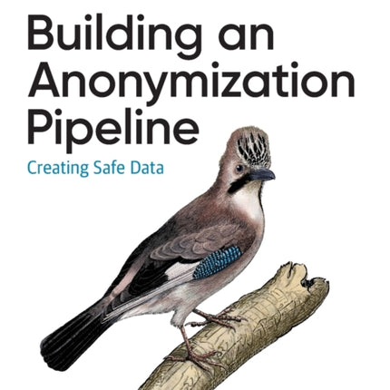Building an Anonymization Pipeline