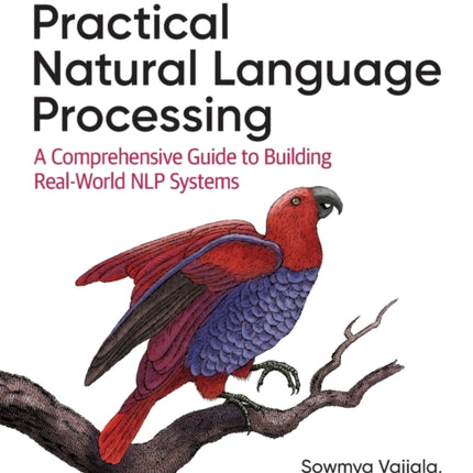 Practical Natural Language Processing: A Comprehensive Guide to Building Real-World NLP Systems