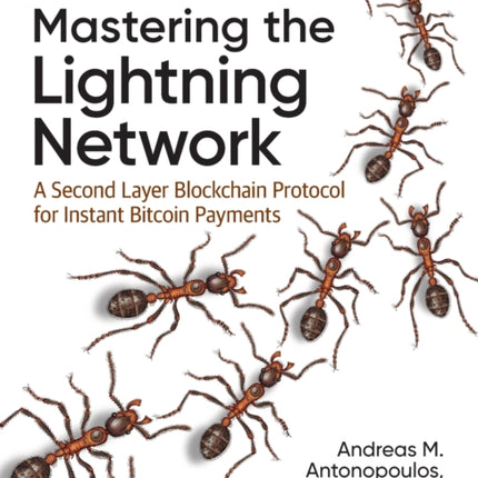 Mastering the Lightning Network: A Second Layer Blockchain Protocol for Instant Bitcoin Payments