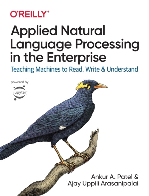 Applied Natural Language Processing in the Enterprise: Teaching Machines to Read, Write, and Understand