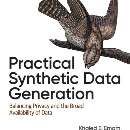 Practical Synthetic Data Generation: Balancing Privacy and the Broad Availability of Data