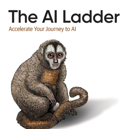 The AI Ladder