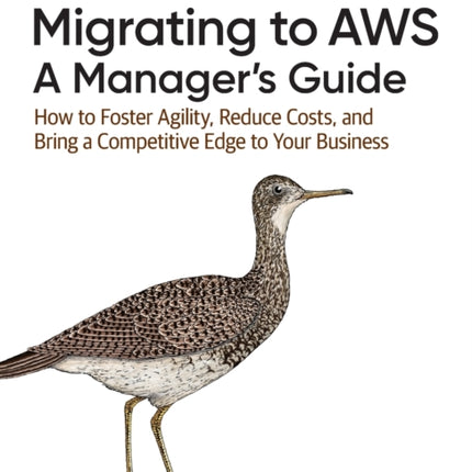 Migrating to AWS: A Manager's Guide: How to Foster Agility, Reduce Costs, and Bring a Competitive Edge to Your Business