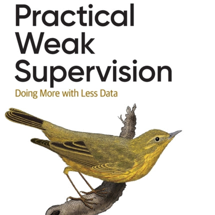 Practical Weak Supervision: Doing More with Less Data