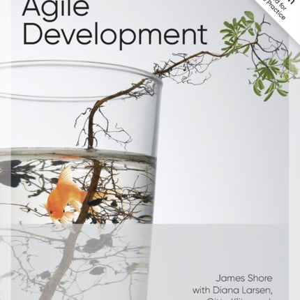 The Art of Agile Development