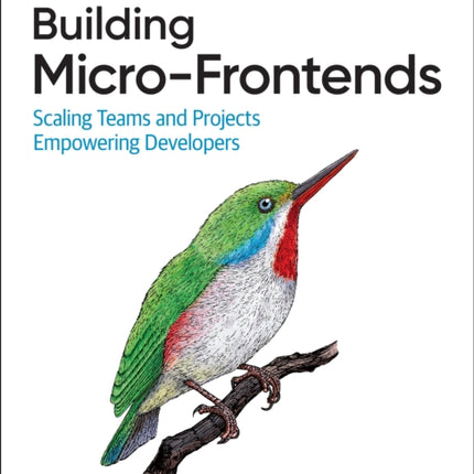 Building Micro-Frontends: Scaling Teams and Projects Empowering Developers