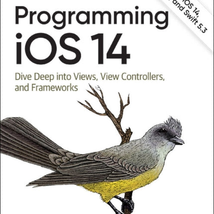 Programming iOS 14: Dive Deep into Views, View Controllers, and Frameworks