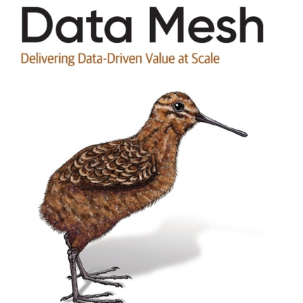 Data Mesh: Delivering Data-Driven Value at Scale