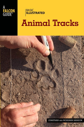 Basic Illustrated Animal Tracks