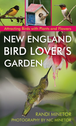 New England Bird Lover's Garden: Attracting Birds with Plants and Flowers