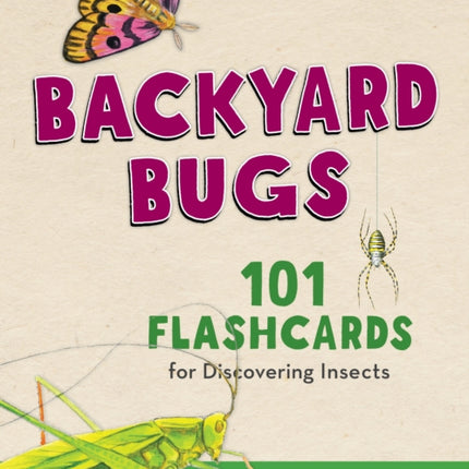 Backyard Bugs: 101 Flashcards for Discovering Insects