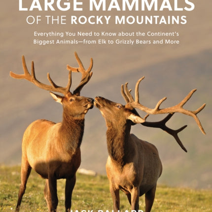 Large Mammals of the Rocky Mountains: Everything You Need to Know about the Continent’s Biggest Animals—from Elk to Grizzly Bears and More