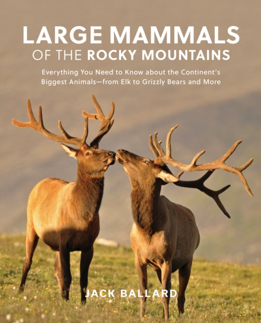 Large Mammals of the Rocky Mountains: Everything You Need to Know about the Continent’s Biggest Animals—from Elk to Grizzly Bears and More