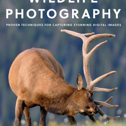 Wildlife Photography: Proven Techniques for Capturing Stunning Digital Images