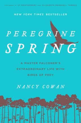 Peregrine Spring