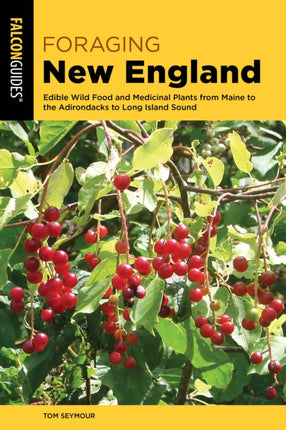 Foraging New England Edible Wild Food and