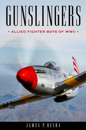 Gunslingers: Allied Fighter Boys of WWII