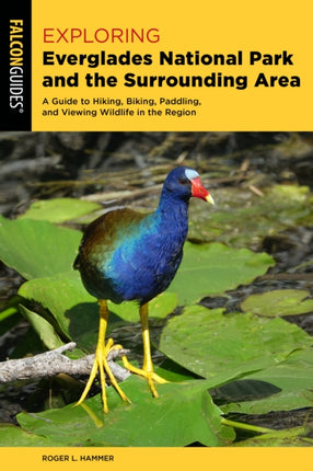 Exploring Everglades National Park and the
