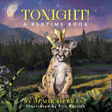 Tonight!: A Bedtime Book