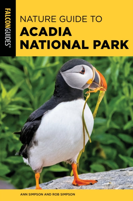 Nature Guide to Acadia National Park