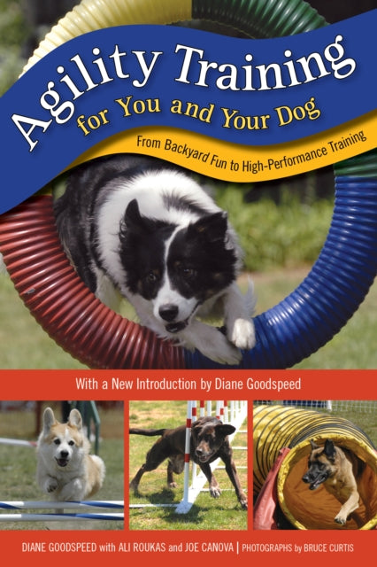 Agility Training for You and Your Dog: From Backyard Fun to High-Performance Training