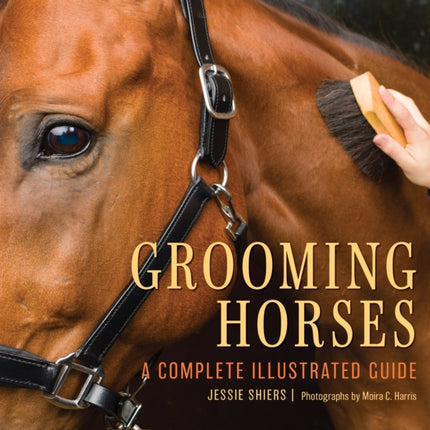 Grooming Horses