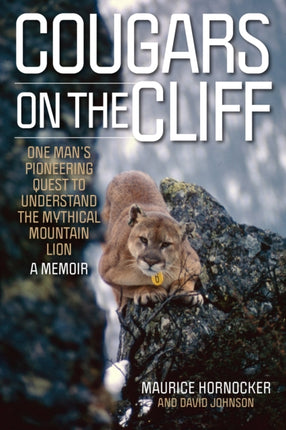 Cougars on the Cliff