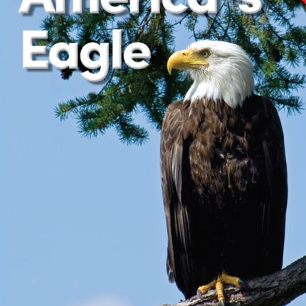 America's Eagle