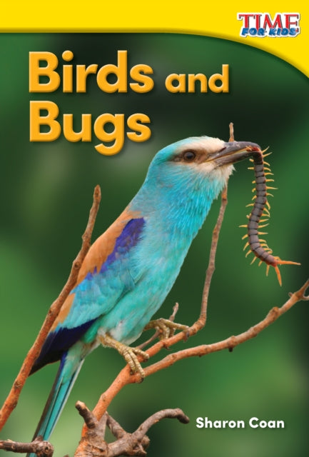 Birds and Bugs