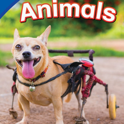 Helping Injured Animals