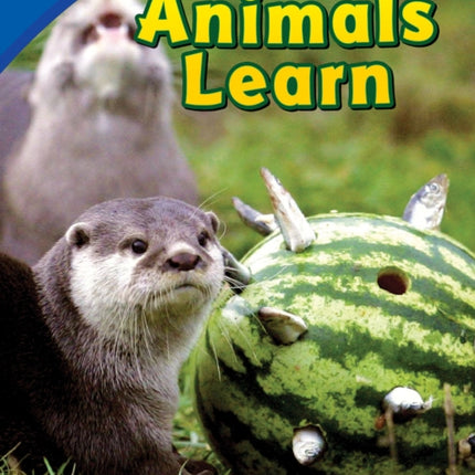 Helping Animals Learn