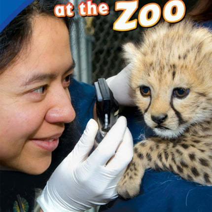 Solving Problems at the Zoo