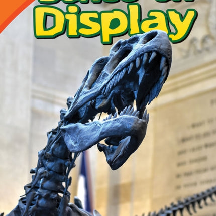 Bones on Display