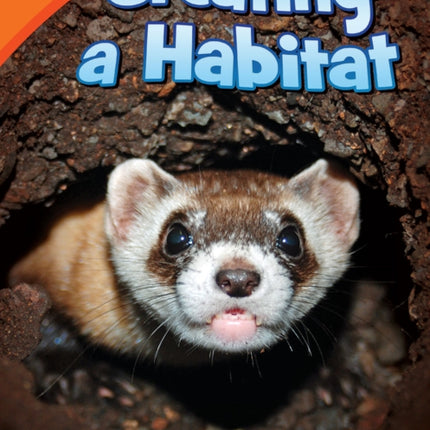Creating a Habitat