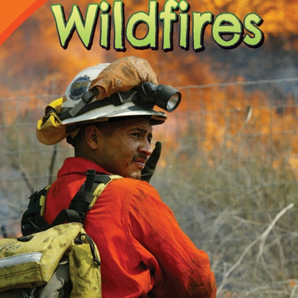 Dealing with Wildfires