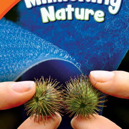 Mimicking Nature