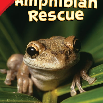 Amphibian Rescue