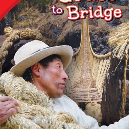 From Grass to Bridge