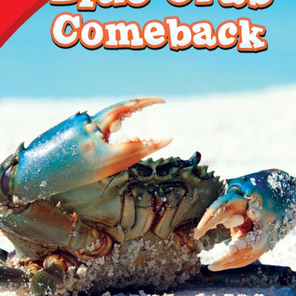 Blue Crab Comeback