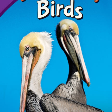 Saving Migratory Birds