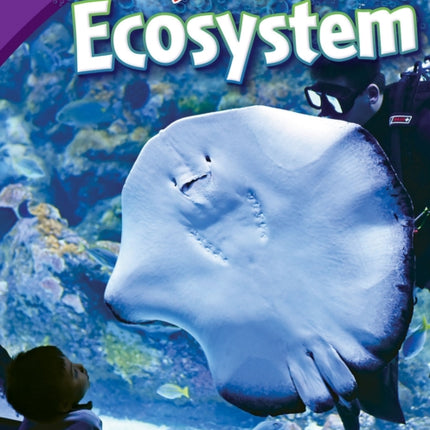 Making an Ocean Ecosystem