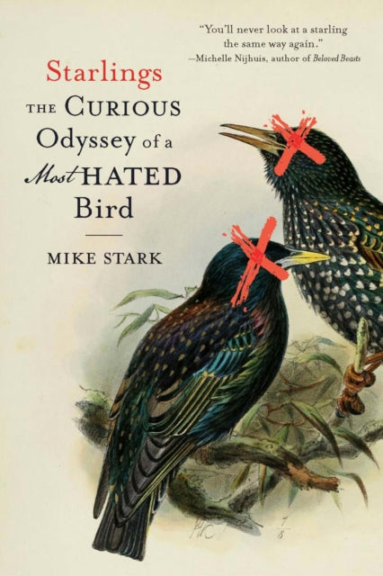 Starlings  The Curious Odyssey of a Most Hated