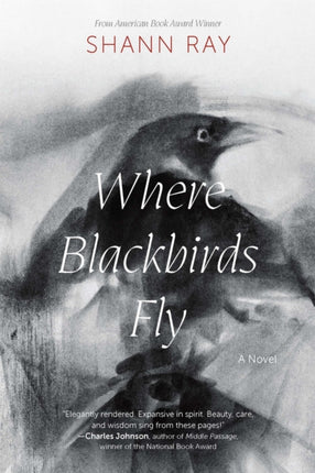 Where Blackbirds Fly