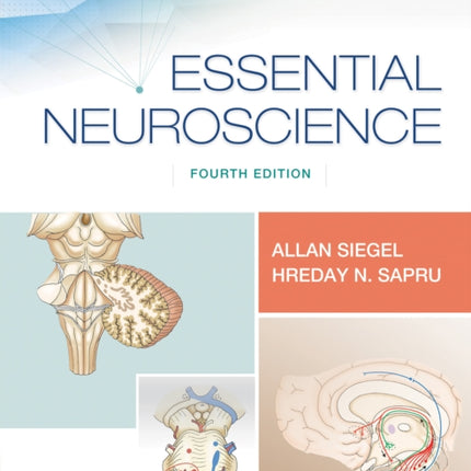 Essential Neuroscience