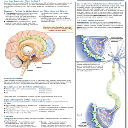 Understanding Major Depressive Disorder